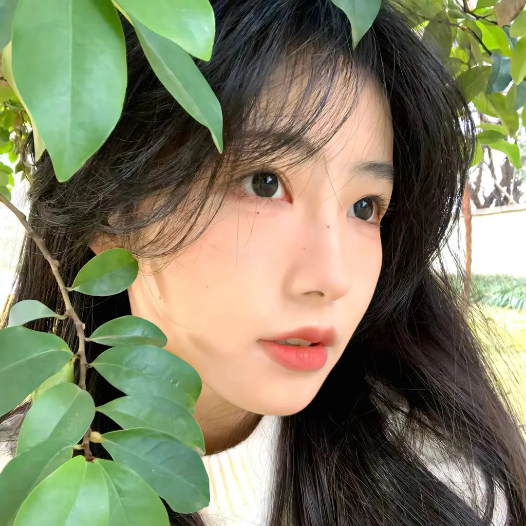 橱窗里的兔子先生